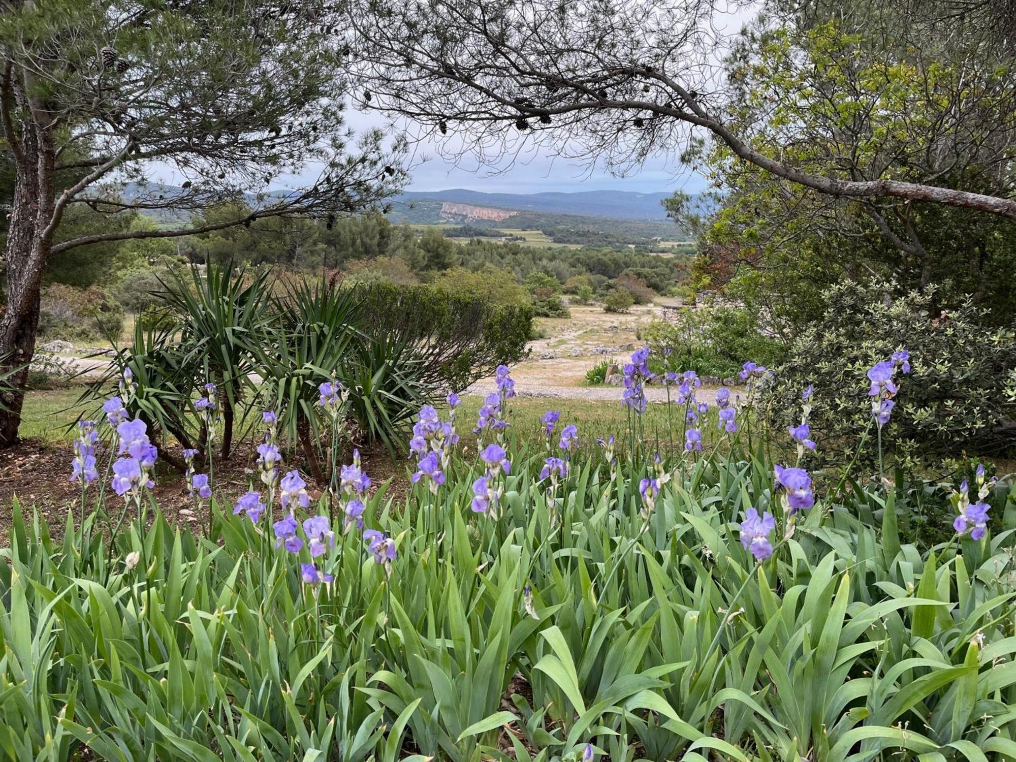 Lovely Views In Secret Provence Joucas Exteriér fotografie