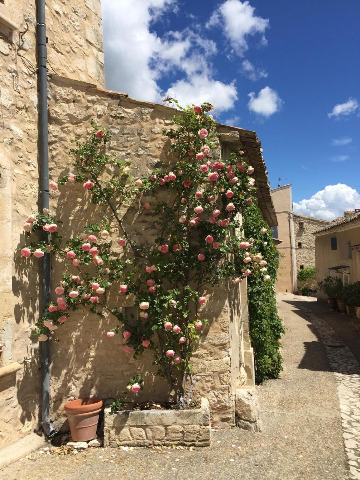 Lovely Views In Secret Provence Joucas Exteriér fotografie